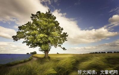 15条关于络绎不绝的经典语句