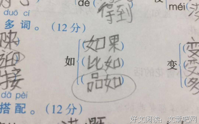关于为了作文的句子