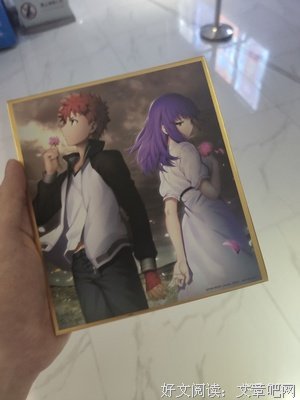 《命运之夜——天之杯II ：迷失之蝶》经典观后感集