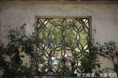忽然，想去江南看瓦