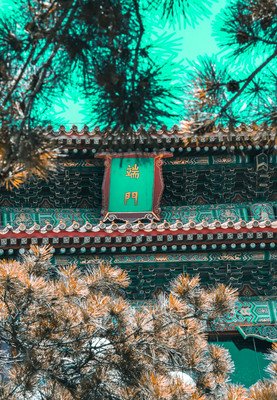 《一根木头》经典影评集