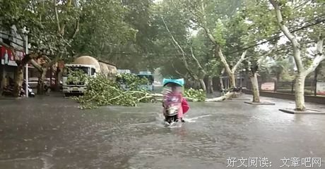 安徽人这次真把我看哭了！