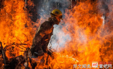 《西尔玛》的观后感大全