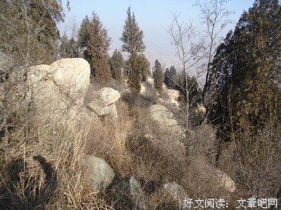 《狼屋》好看吗？经典影评锦集