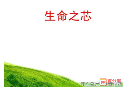 橙如夏花读后感锦集