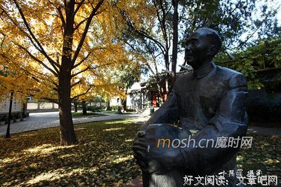 《中国的隐性农业革命》的读后感大全