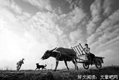 关于日出而作的格言