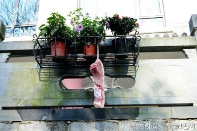 杂七杂八的名句_关于杂七杂八的名句