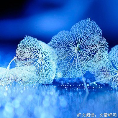 小说 影视 精华名句欣赏
