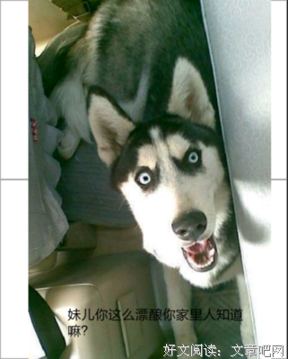 为卿一并道误终生经典名句
