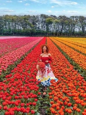 关于自觉上国计可施的优美句子