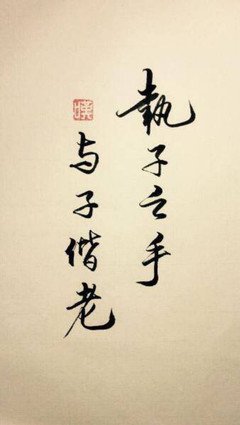 有关古风＆美文的句子
