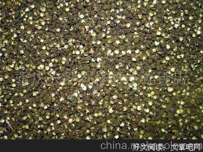 某些连锁为什么那么难吃啊？
