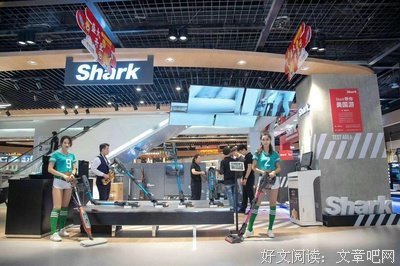 《老虎》观后感摘抄