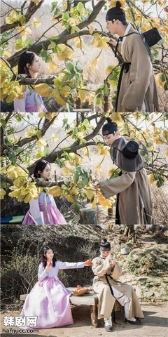《魔女宝鉴》观后感摘抄