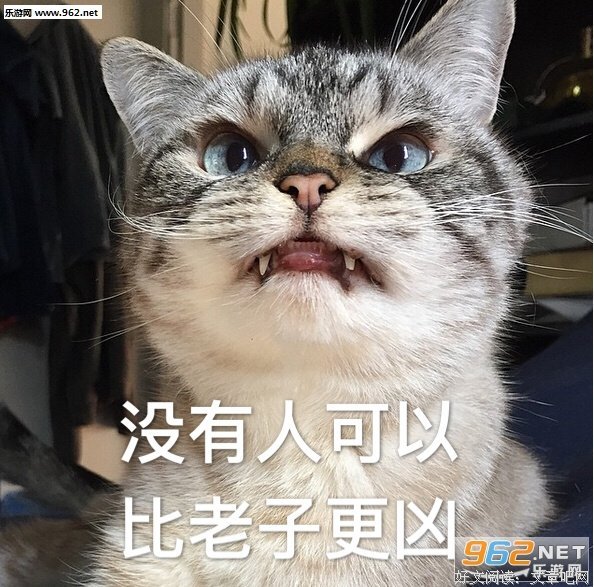 突然这么多好看的综艺，简直刷不过来了！