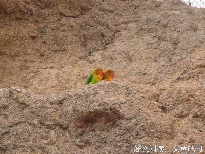 【提问】该如何迈出甜甜恋爱的第一步呢？ 