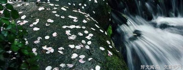 《人体简史》读后感摘抄