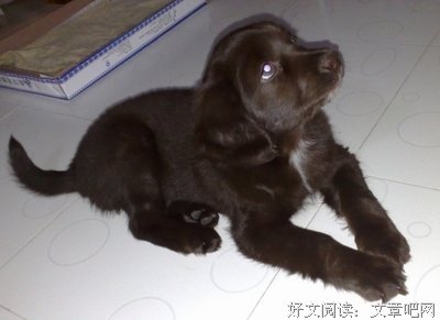 这个香港顶级贵妇圈，李嘉欣20年都混不进…