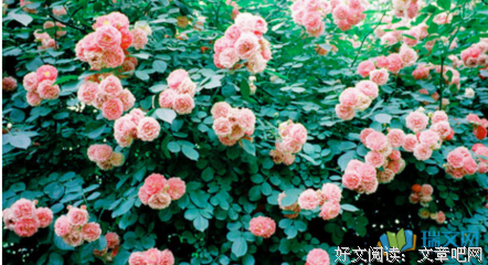 关于无力回天的唯美语录