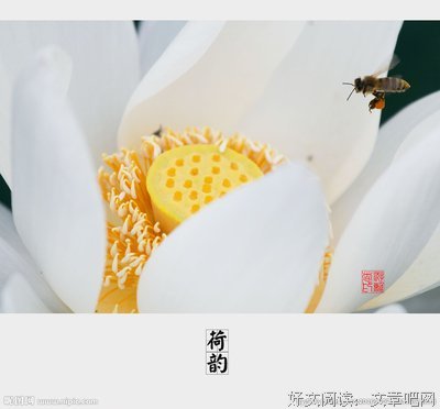 韵荷：初识李先铎