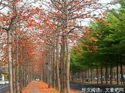 38岁的我癌症晚期才明白：男人对女人最深的爱，不是给她钱