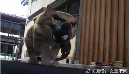 《花样姐姐 第二季》经典观后感1000字