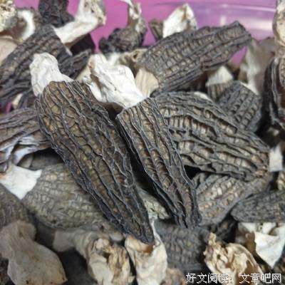 白葱经典句子