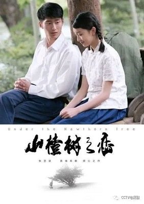 《疾风回旋曲》好看吗？经典影评锦集