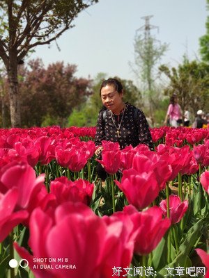关于心凉怎暖的句子