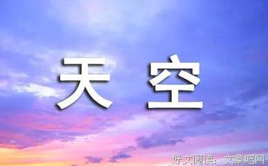 毛毛虫的天空/杨红樱童话全集读后感100字