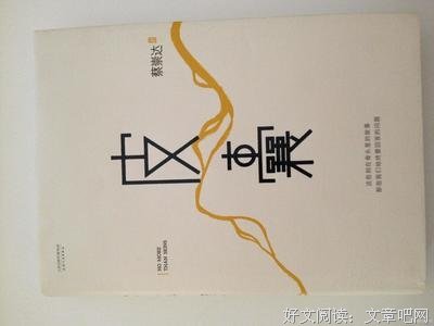 皮囊读后感精选