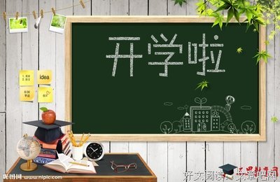 怎样观察一朵花读后感锦集