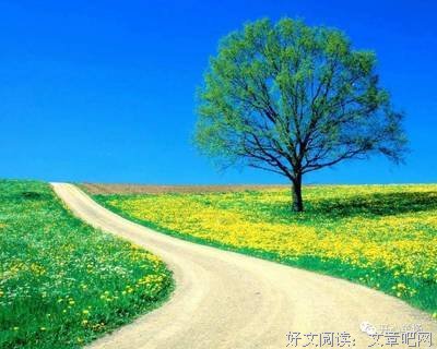 一段看透人心的话！