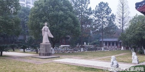 抒情经典名句