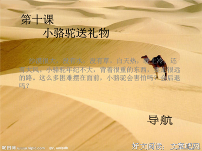 大老师句子大全