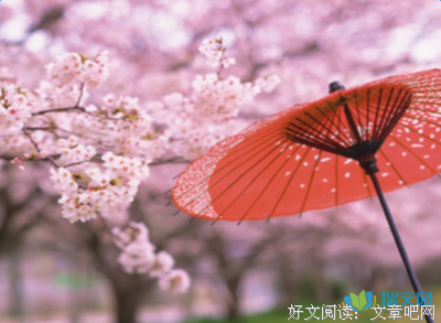 聲之形 07读后感精选