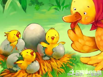鸟，看见我了读后感1000字