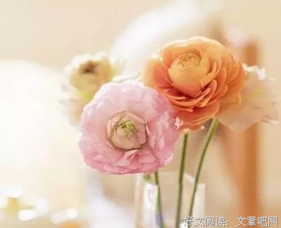 情真意切的语句摘抄_关于情真意切的语句