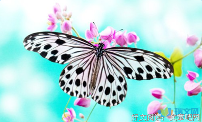 描写艰苦奋斗的语句摘抄