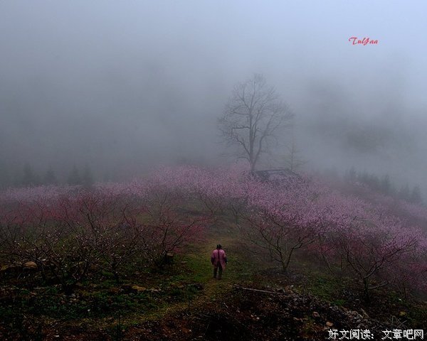 雾里看花的句子