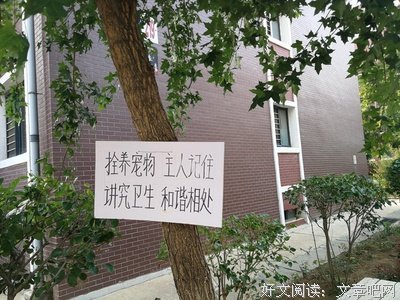 有关我爱，爱心之所爱的句子