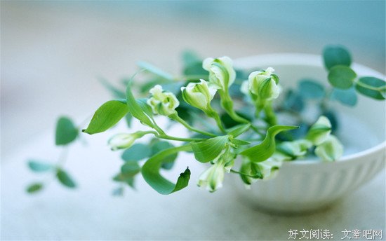 怎样不被人带到沟里去？