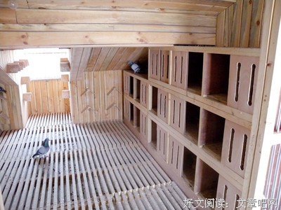 舍即是得，得即是舍（深度）