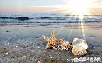 坦诚相待的语句摘抄_关于坦诚相待的语句