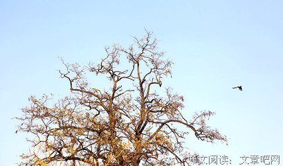 逝句子