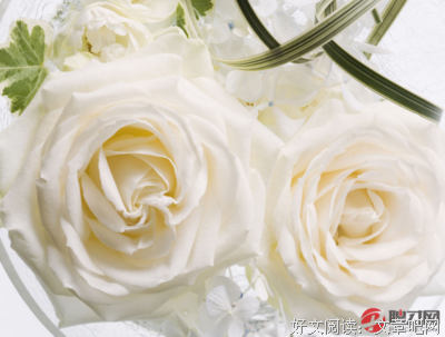 关于怦后只心动的优美句子