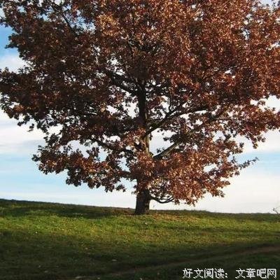 尼采经典名句