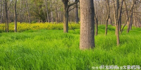 关于不知道的句子