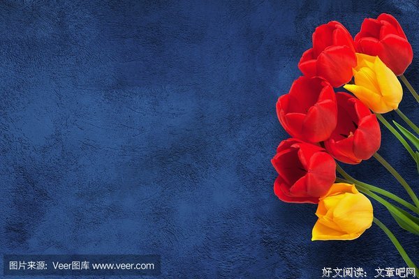 《周末父母》观后感摘抄